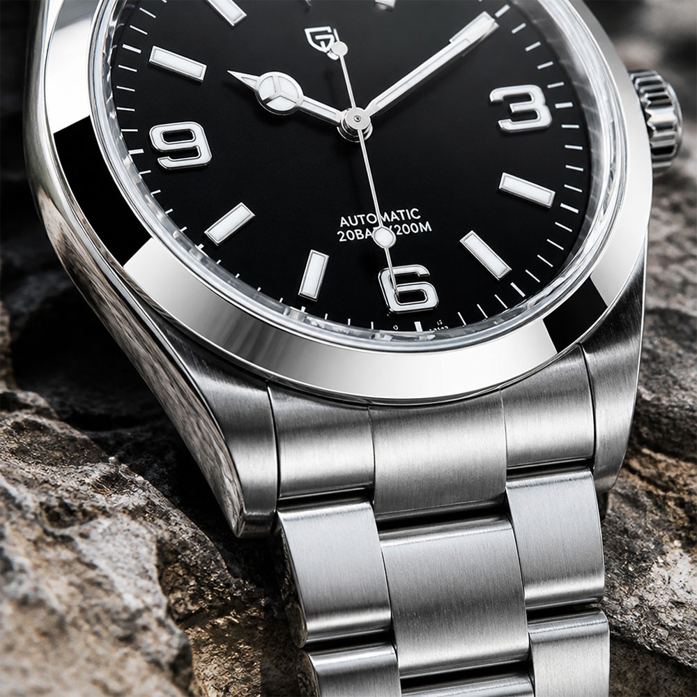 Nieuw PAGANI DESIGN Heren mech - Mens Mechanical Watch recensie en prijs